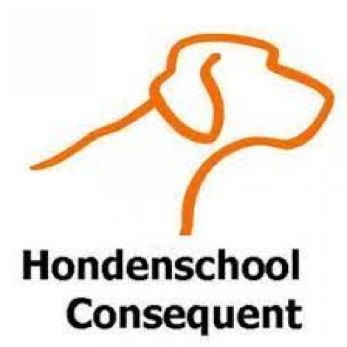 Hondenschool Consequent logo